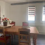 Charmante Im Gaesschen 公寓 鲁多尔施塔特